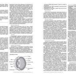 Алтернативна медицина 29 Алтернативна медицина - Image 12