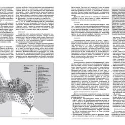 Алтернативна медицина 30 Алтернативна медицина - Image 13